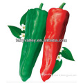 Medium Spicy Cold and Hot Resistant Horn Pepper Seeds-Improved Anhui Pepper No.1